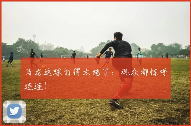 马龙这球打得太绝了，观众都惊呼连连！