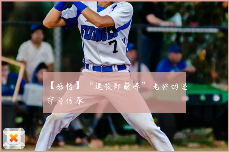 【感悟】“退役即巅峰”老将的坚守与传承