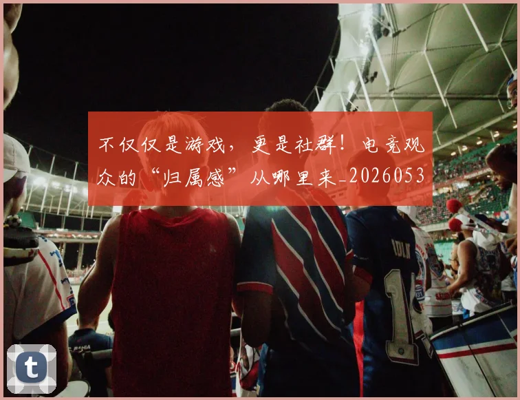 不仅仅是游戏，更是社群！电竞观众的“归属感”从哪里来_20260531151156_20260702174338